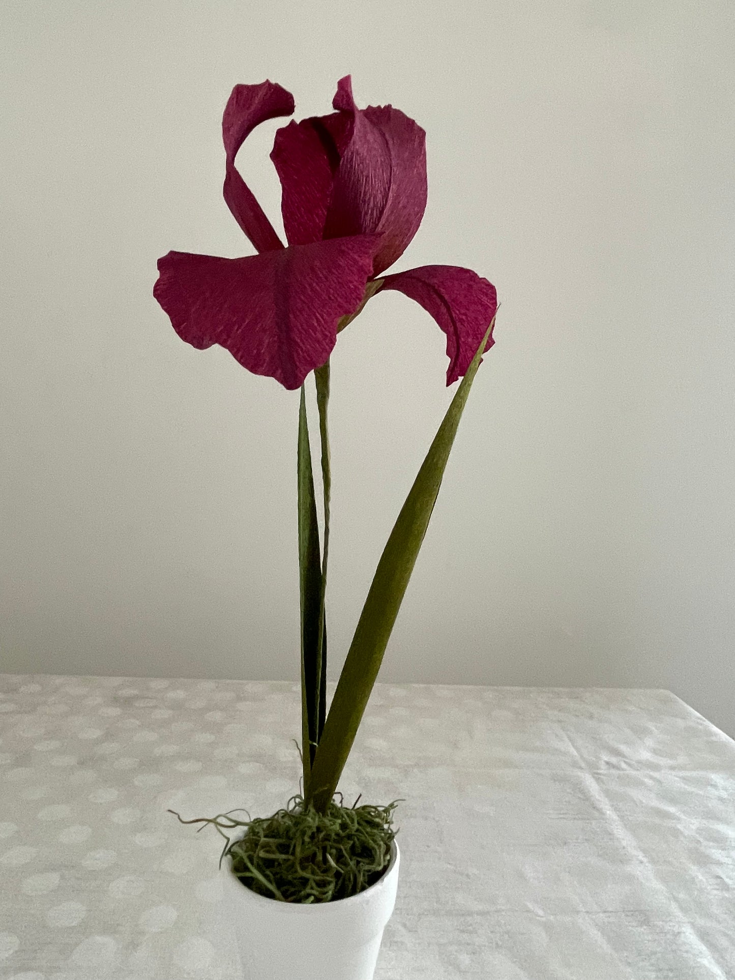 Crepe Paper Iris