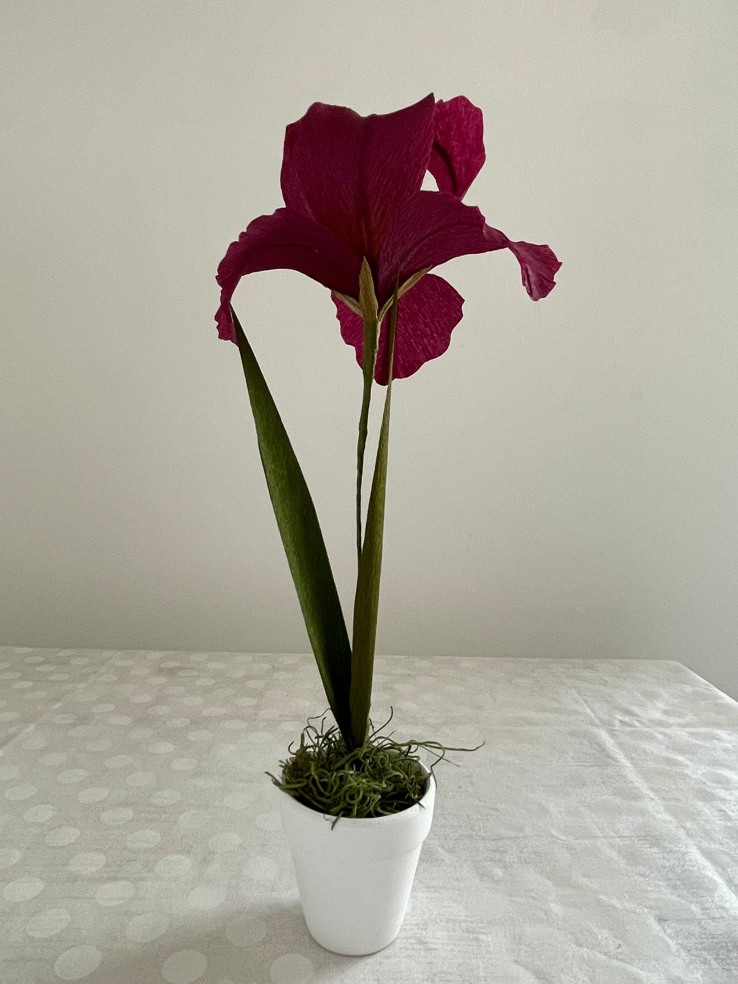 Crepe Paper Iris