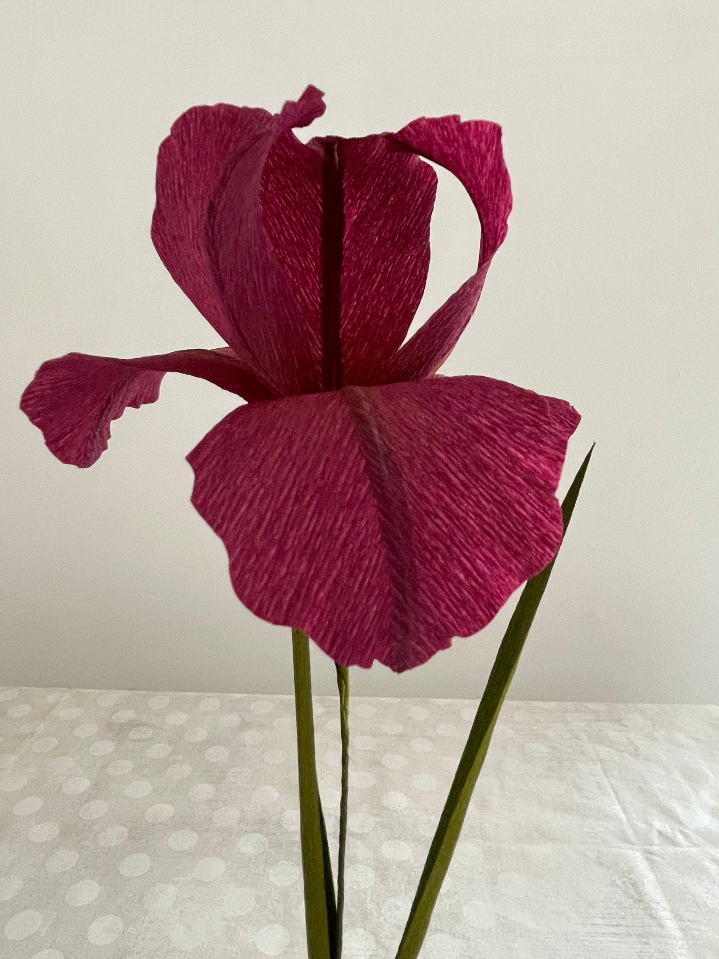 Crepe Paper Iris