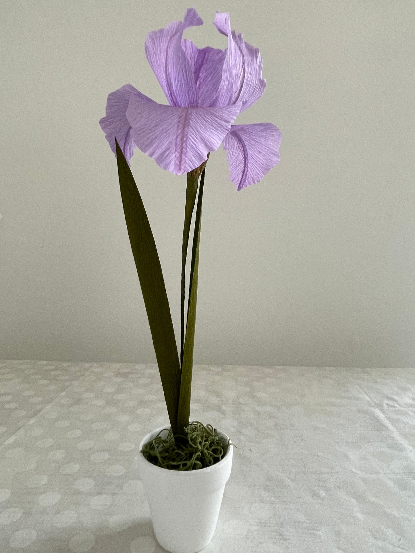 Crepe Paper Iris