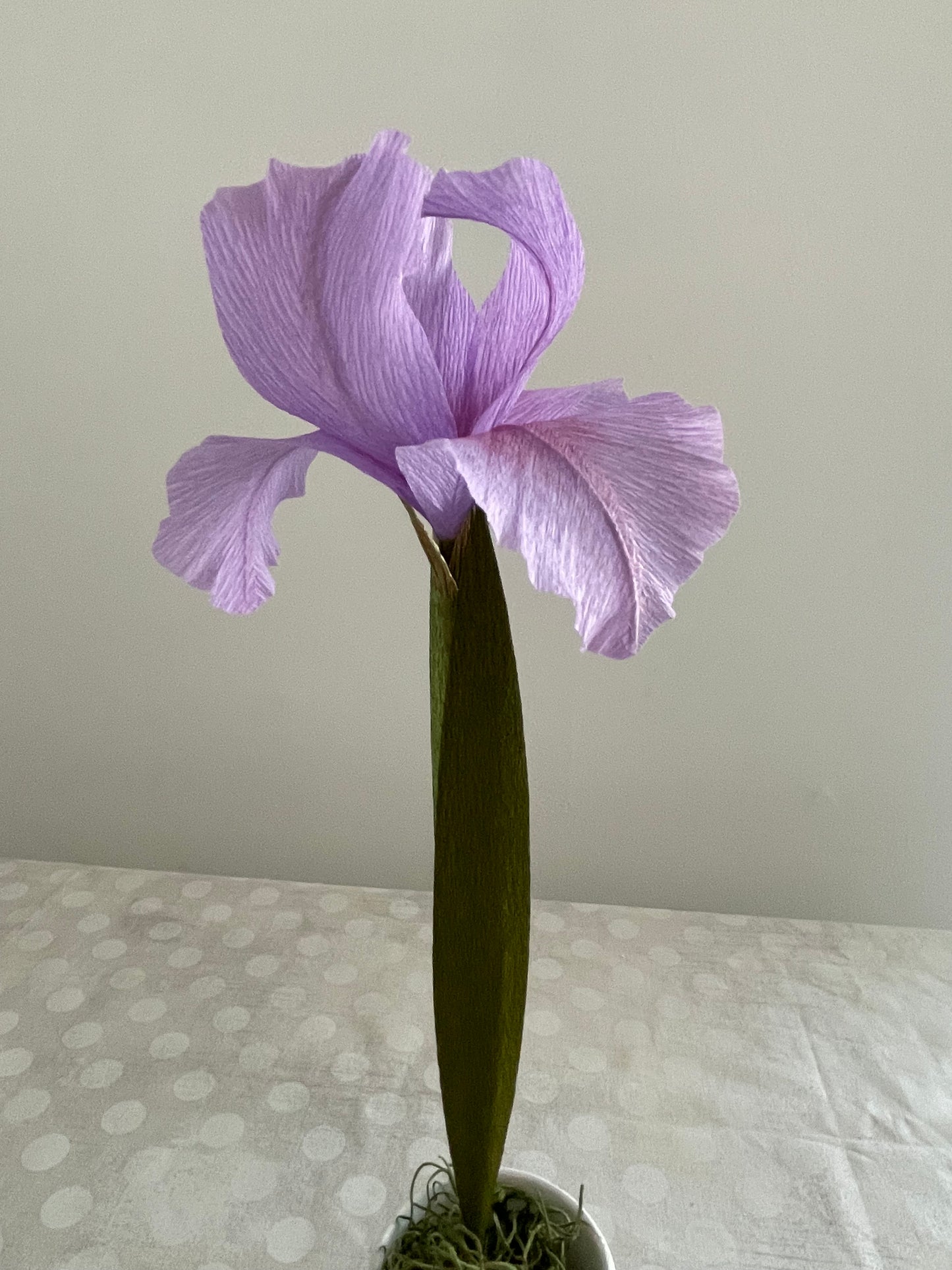 Crepe Paper Iris