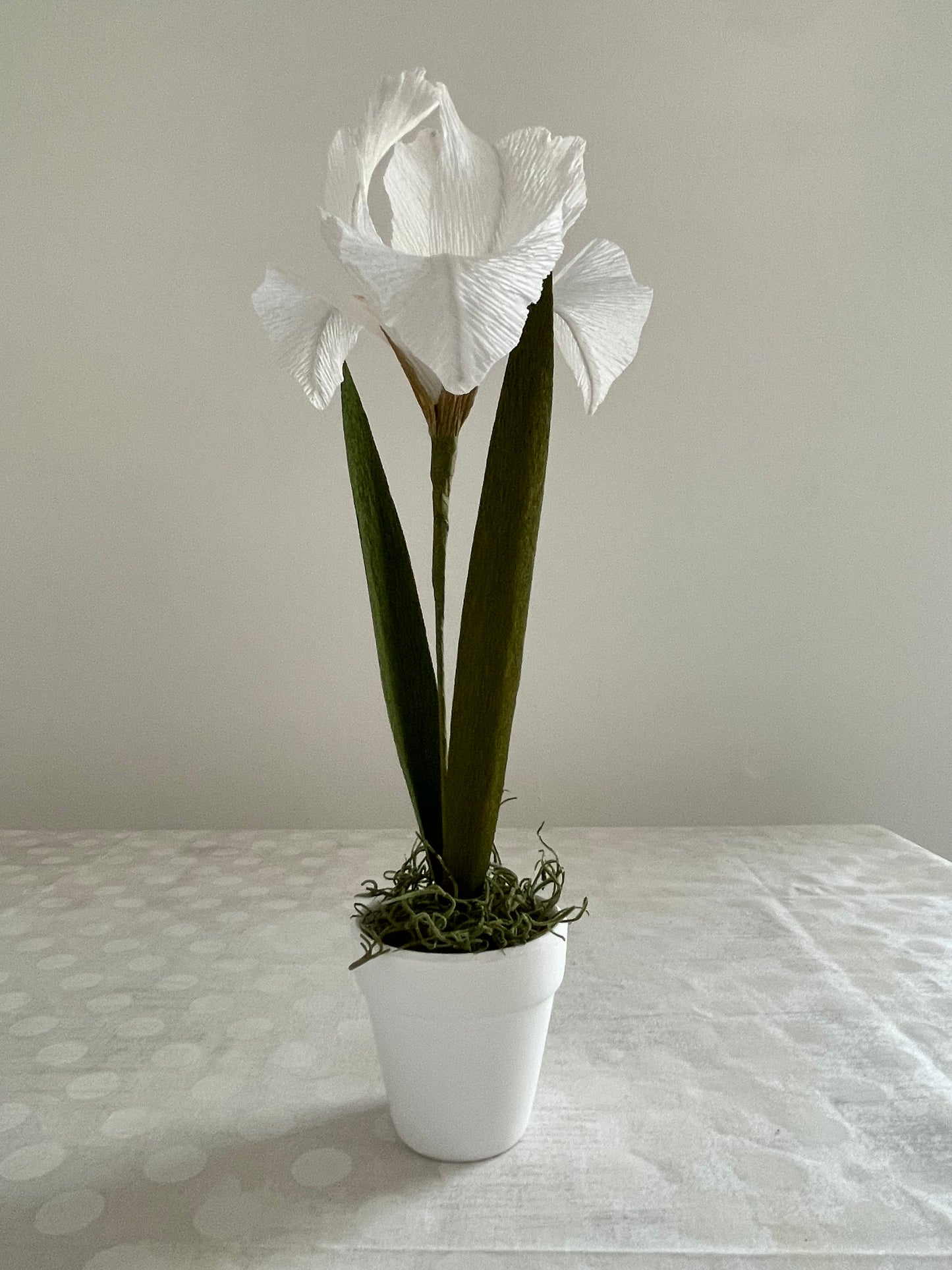 Crepe Paper Iris