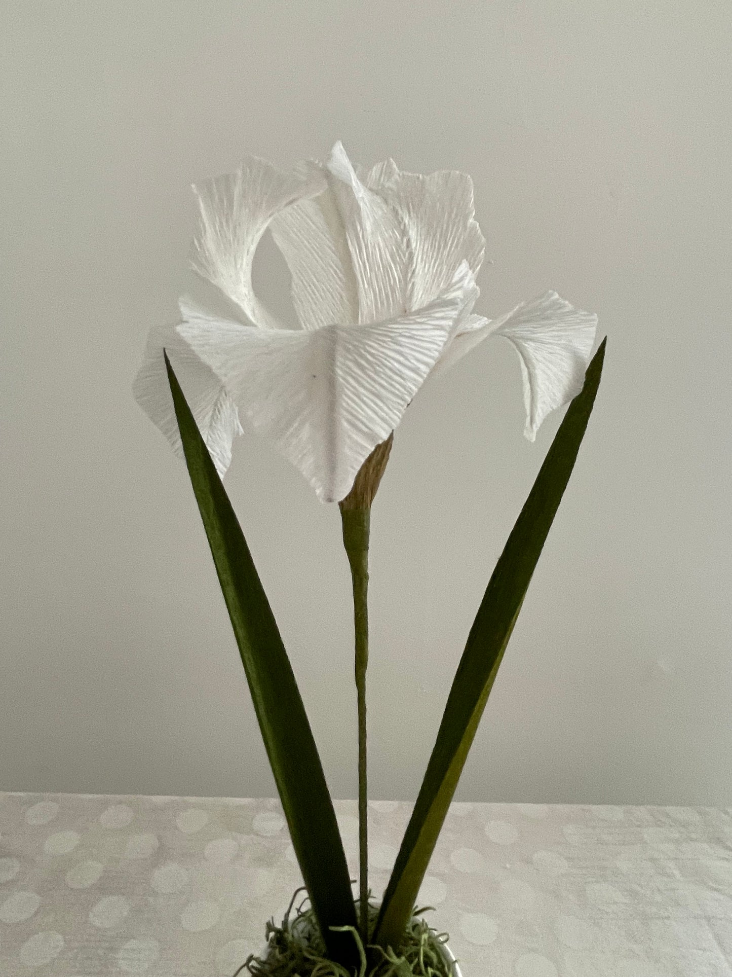 Crepe Paper Iris