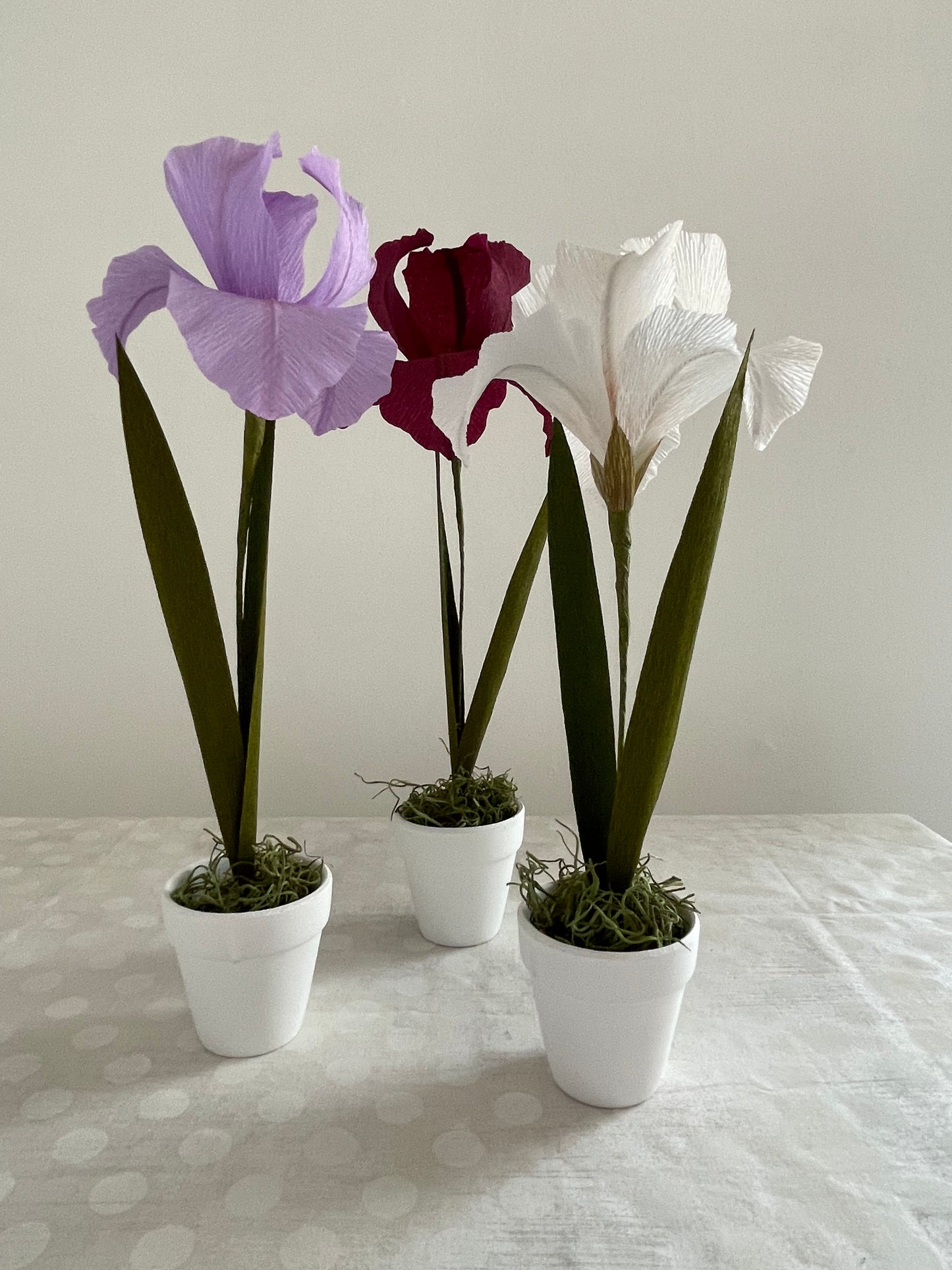 Crepe Paper Iris