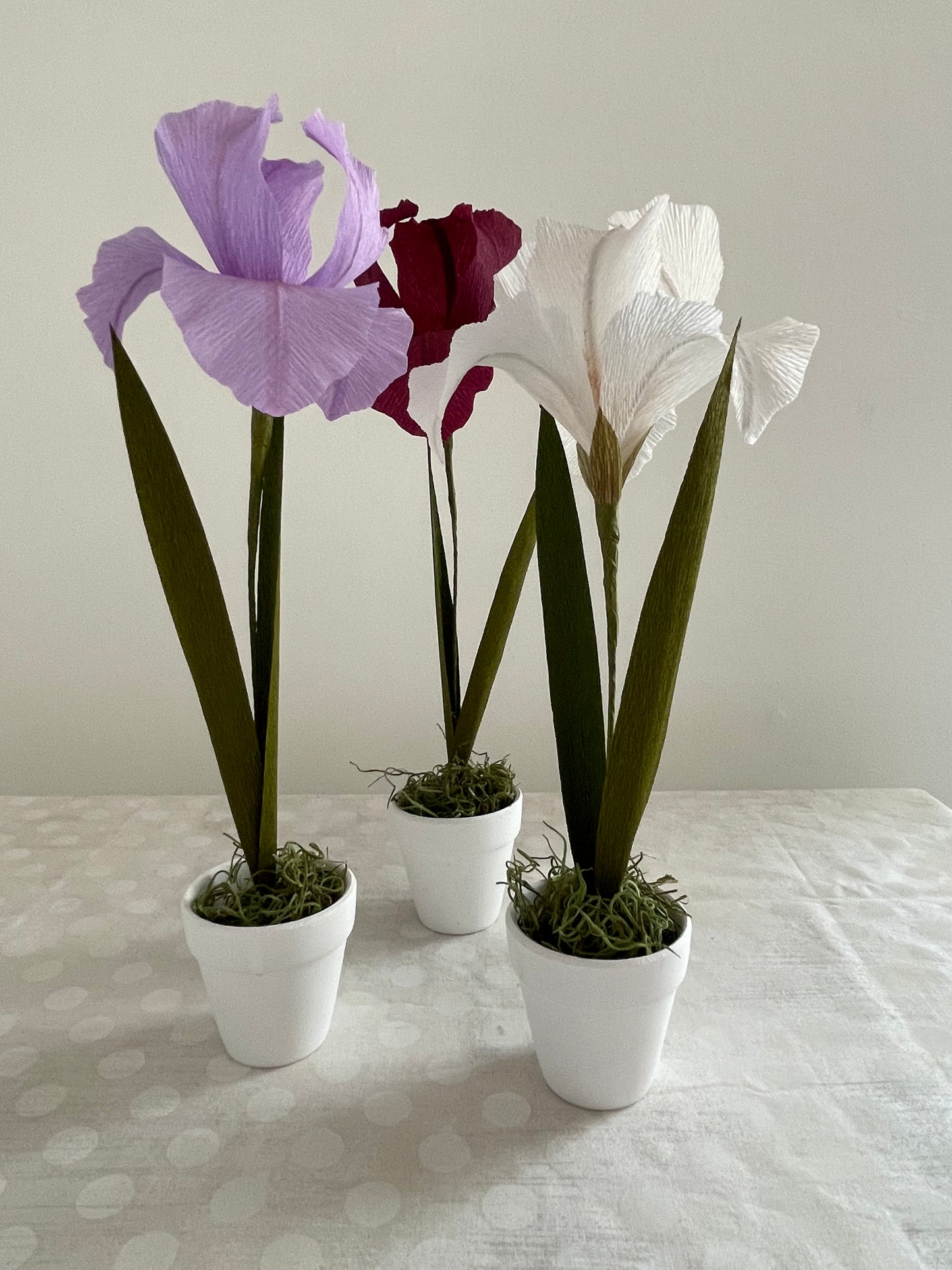 Crepe Paper Iris